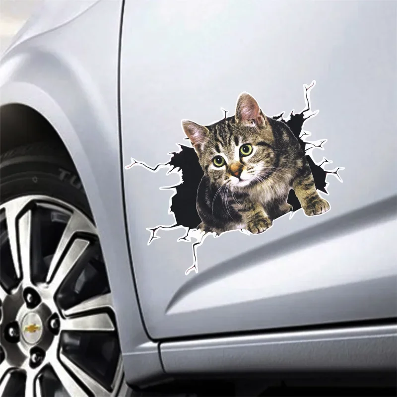 Car Accessories On Amazon - 3D Simulation of Cute Cats Peeking