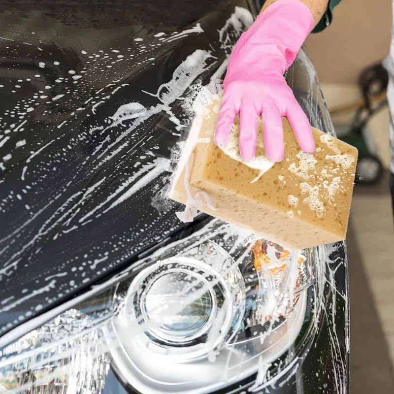 Car Washing Sponge Large Honey - đánh giá và giá Car Detailing Brush