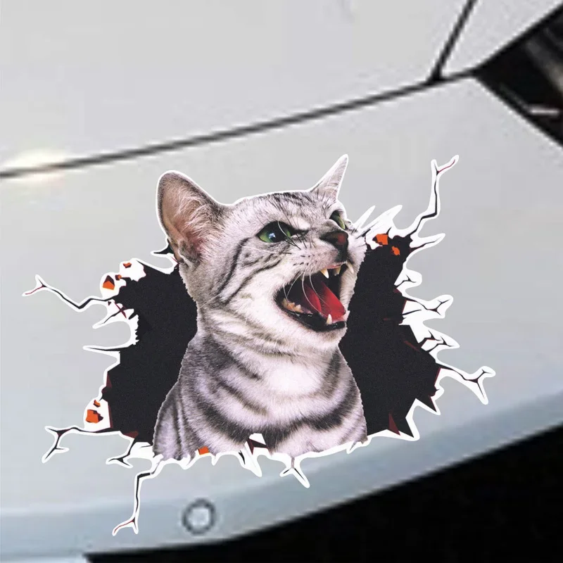 3D Simulation of Cute Cats Pee - đánh giá và giá Car Accessories On Amazon