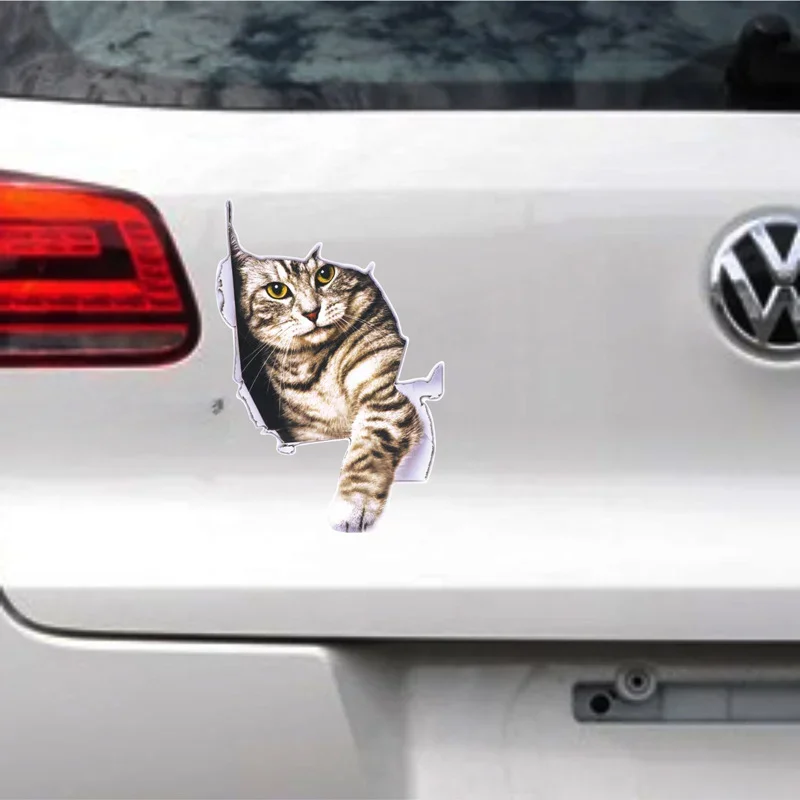 3D Simulation of Cute Cats Pee - đánh giá và giá Car Accessories On Amazon