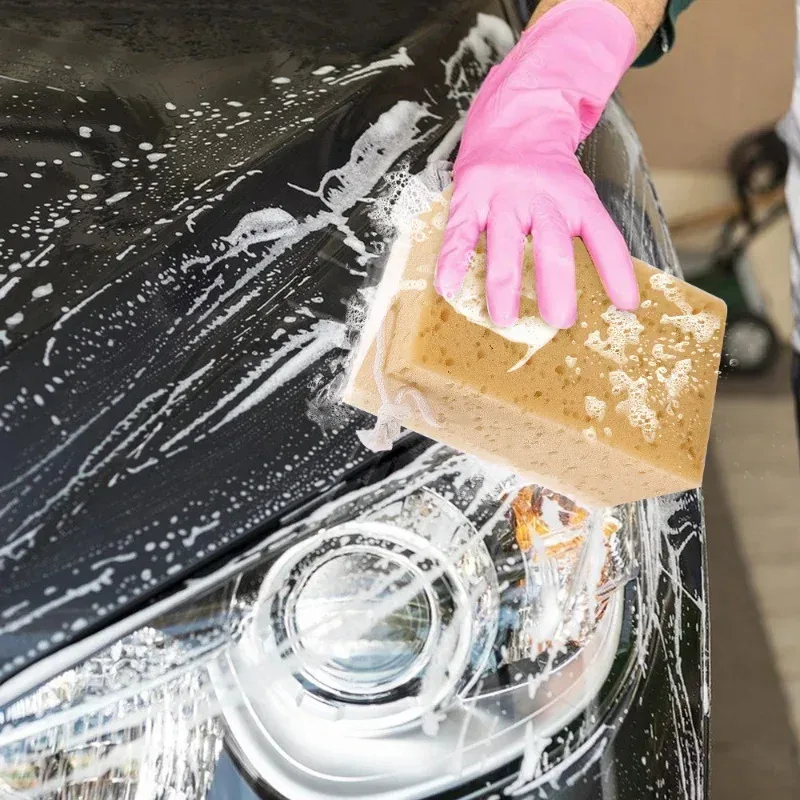 Car Washing Sponge Large Honey - đánh giá và giá Car Detailing Brush