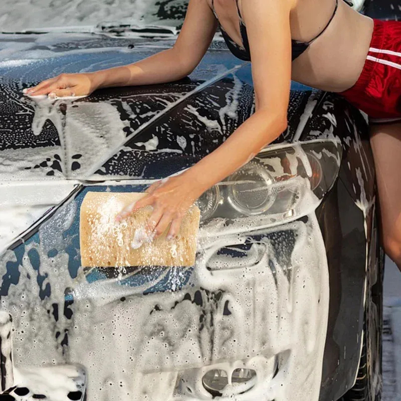 Car Washing Sponge Large Honey - đánh giá và giá Car Detailing Brush